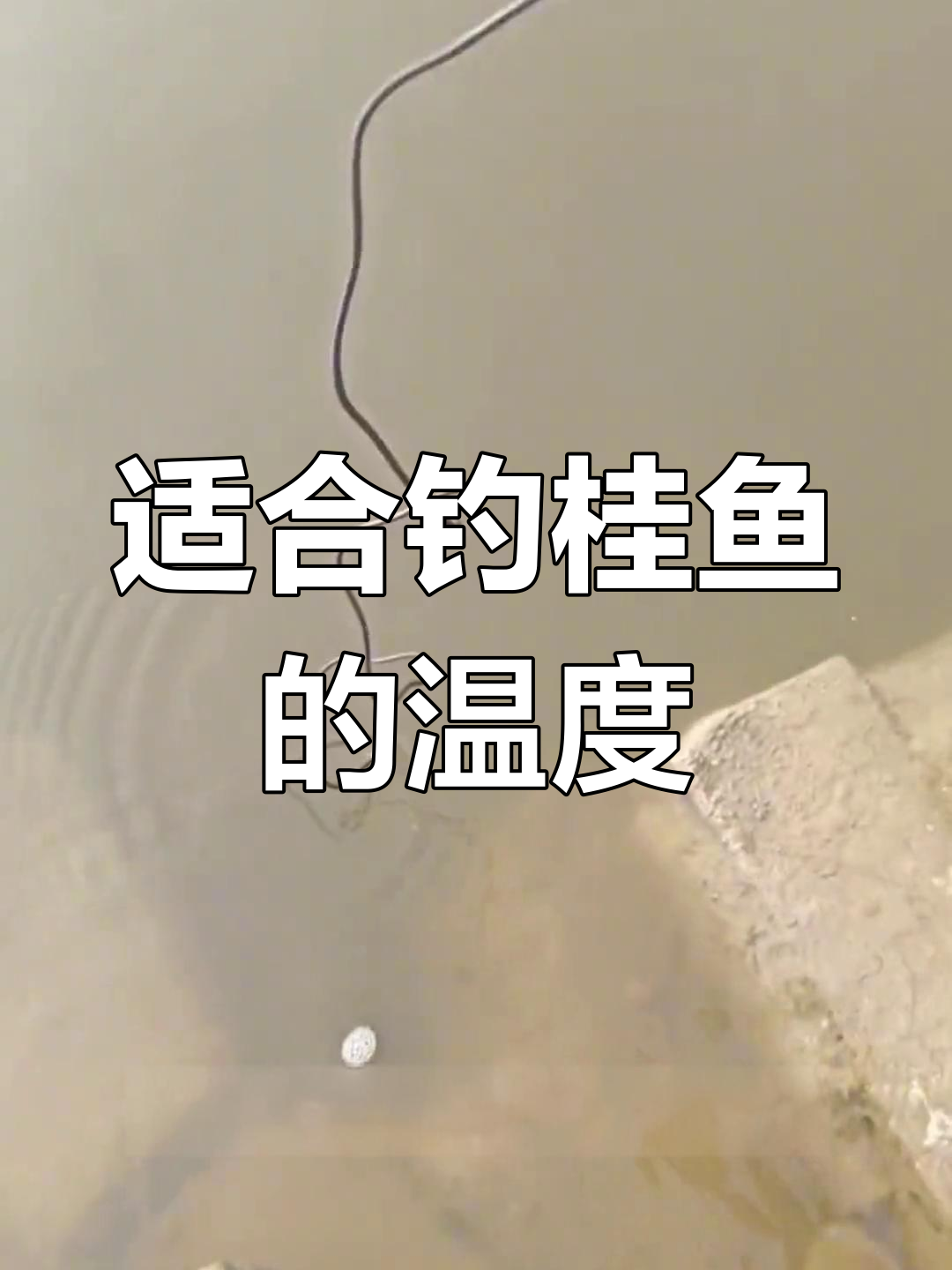 江里钓鳜鱼技巧(江里钓鳜鱼技巧和方法)