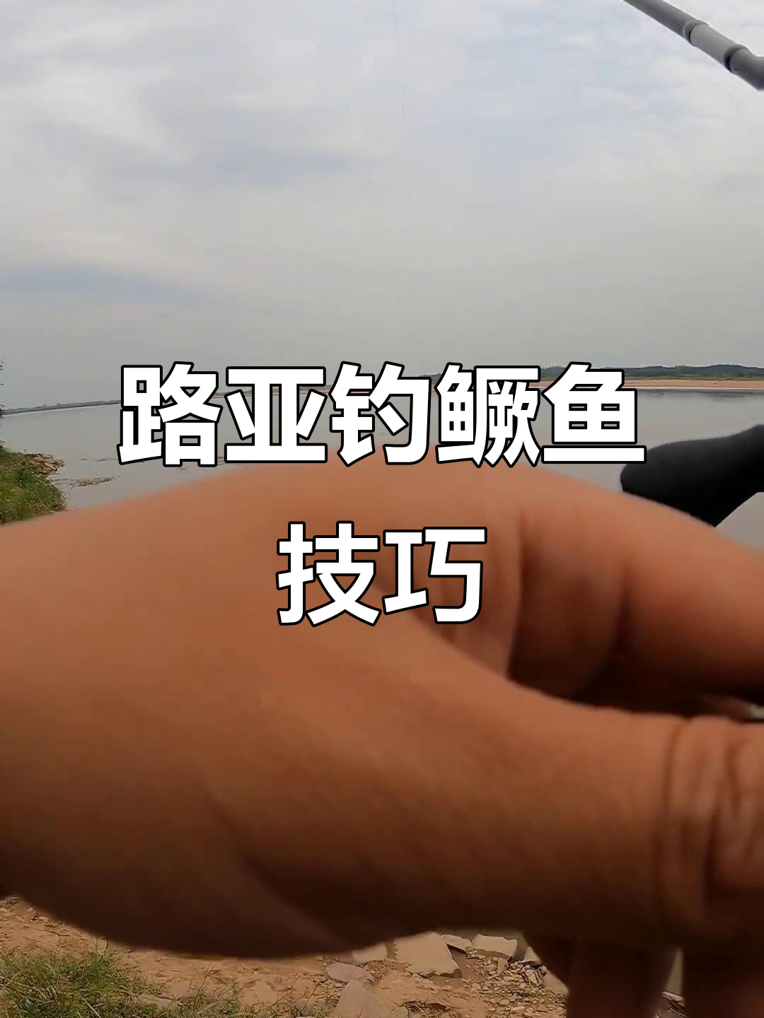 江里钓鳜鱼技巧(江里钓鳜鱼技巧和方法)