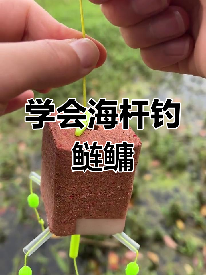 海钓绑浮子(海边浮钓钓组绑法)