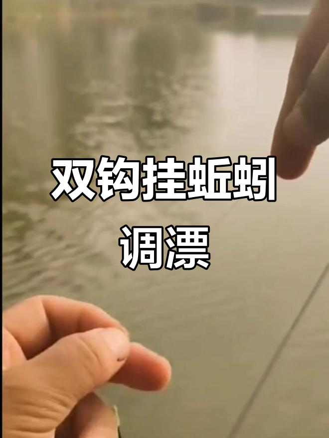 冬钓蚯蚓调漂技巧(冬天钓蚯蚓)