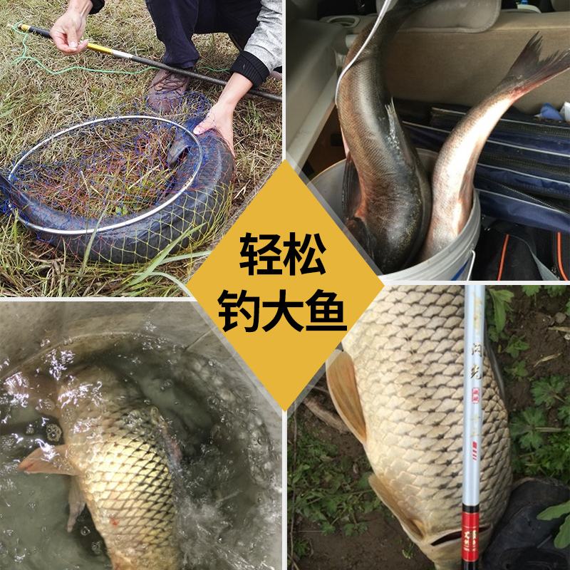 垂钓王渔具(垂钓之王高清版百科)