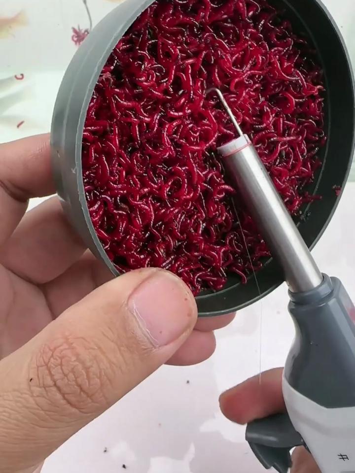 快速挂红虫技巧(钓鱼怎样挂红虫最简单省事)
