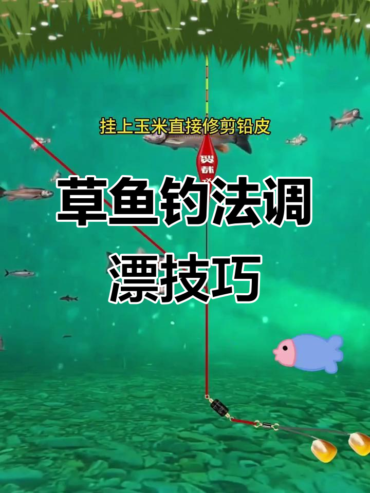 玉米浮钓草鱼技巧(玉米浮钓草鱼需要频繁抽窝吗)