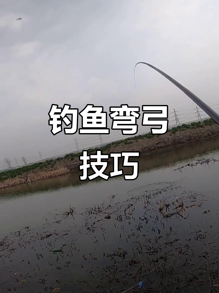 传统钓双飞技巧(钓鱼双飞什么意思)
