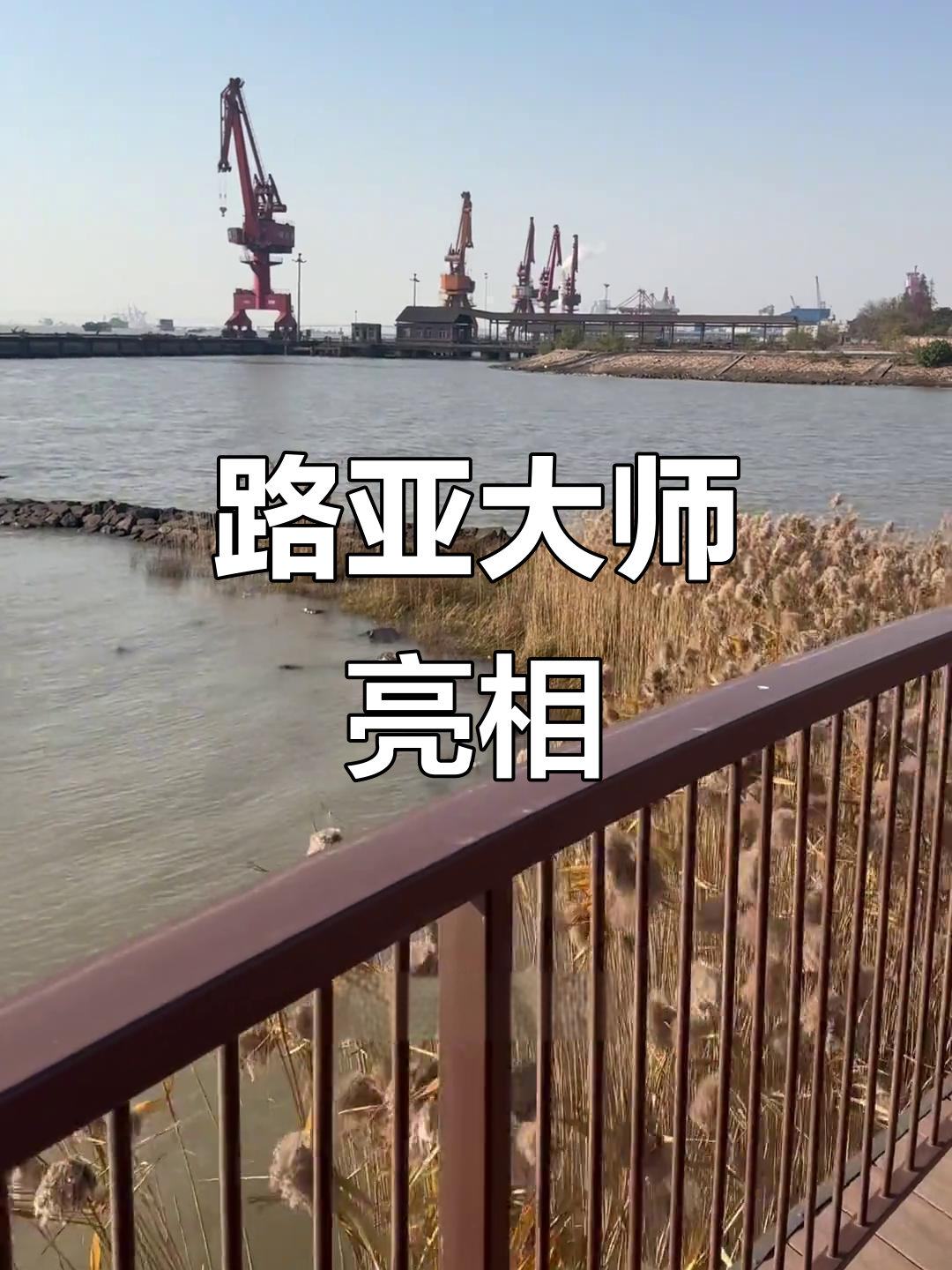 路亚明星(国内路亚高手)