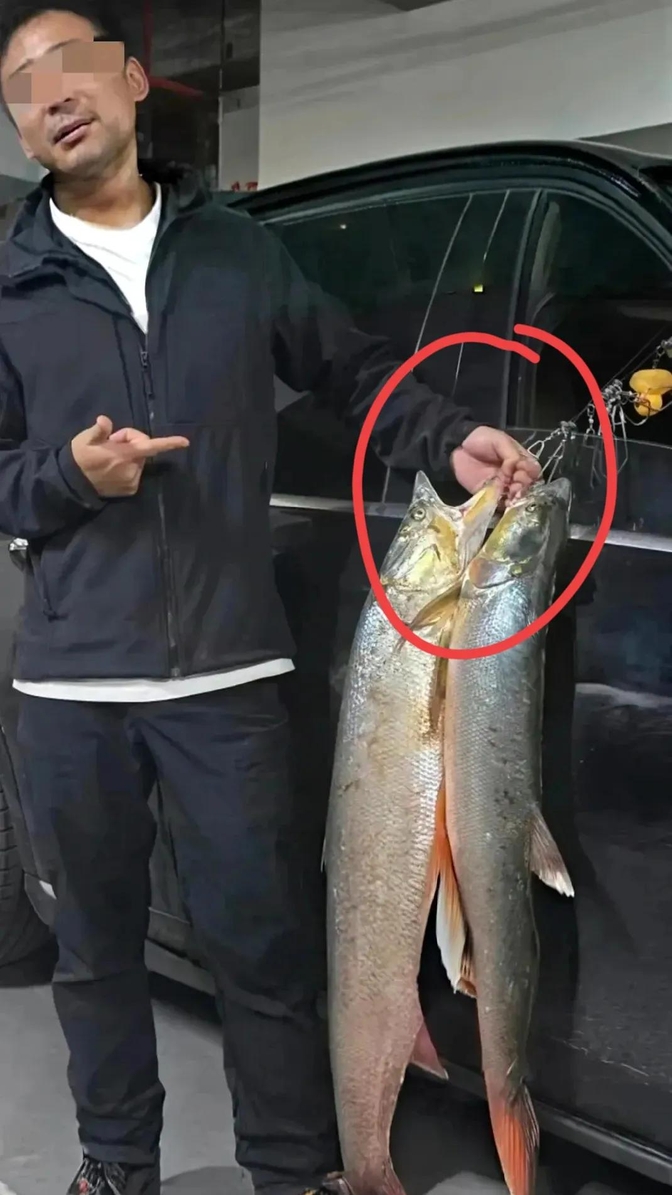 海钓赤虫(海钓赤虫图片)