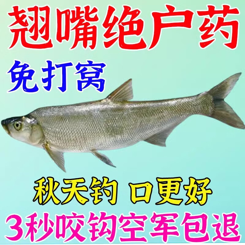 手竿钓翘嘴鱼饵料(手竿钓翘嘴用什么浮漂)