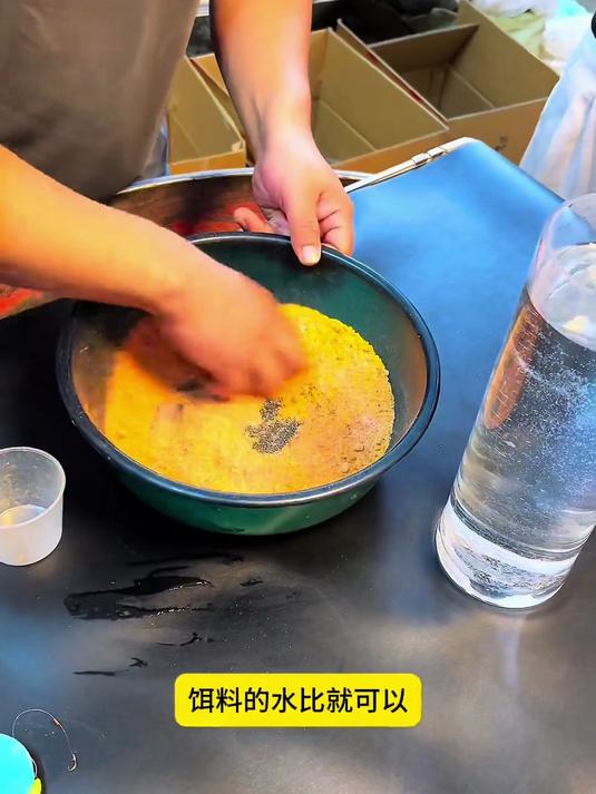 蓝鲫开饵技巧(蓝鲫如何开饵视频)