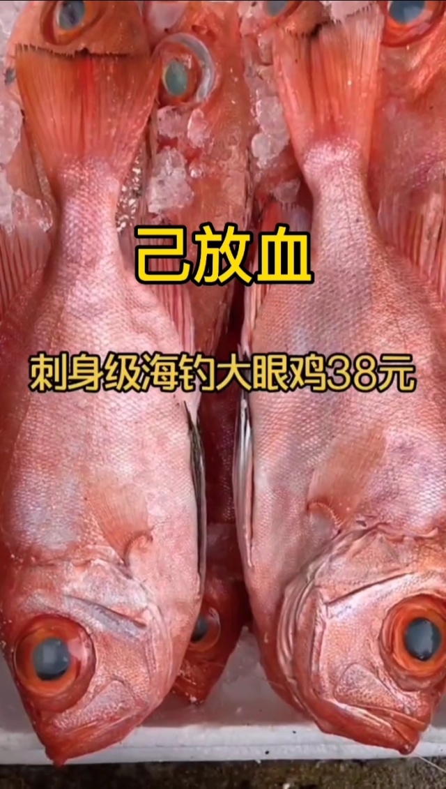 用鸡内脏可以海钓吗(用鸡内脏可以海钓吗图片)