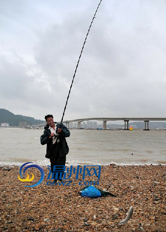 洞头海钓点揭秘(洞头海边可以钓什么鱼)