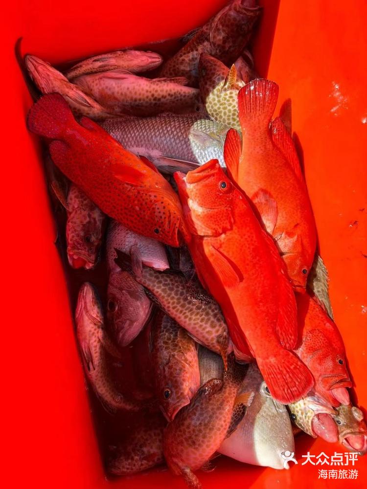海南万宁海钓点(万宁哪里钓鱼)