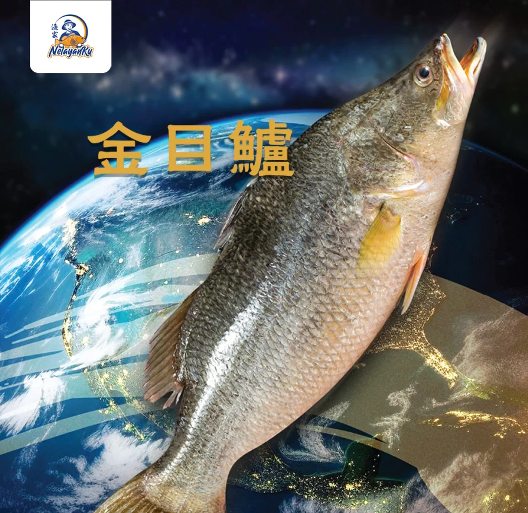 路亚金目鲈的时间(路亚金目鲈技巧)