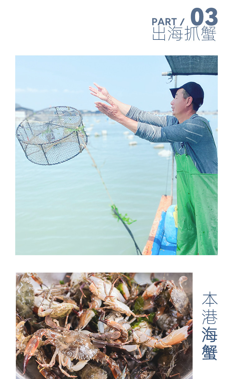 海钓挂海蛎方法(海蛎钓法怎么挂海蛎)