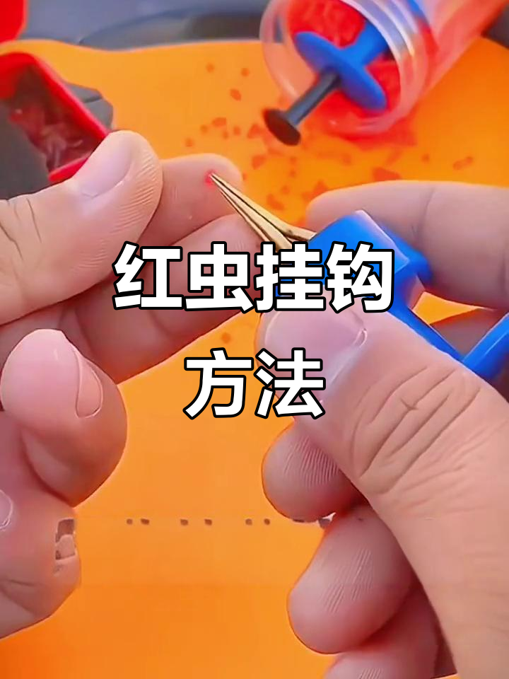 挂红虫调漂技巧(挂红虫钓鱼怎么调漂视频)