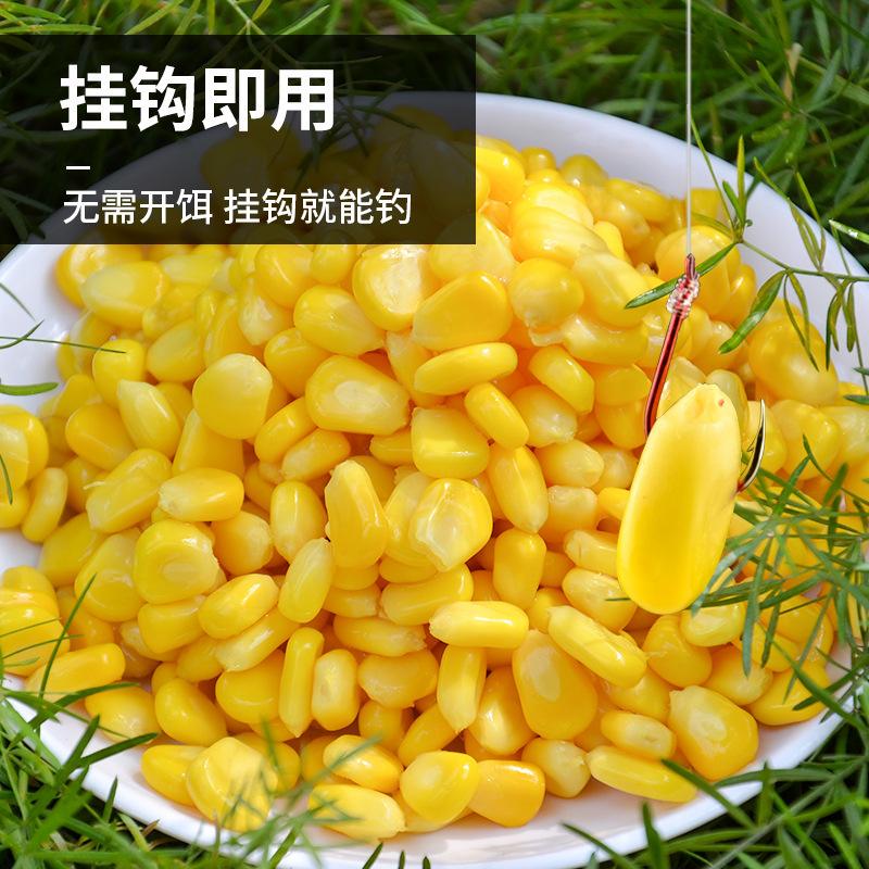 纯谷物饵料(纯谷物饵料加玉米黏粉可以吗)