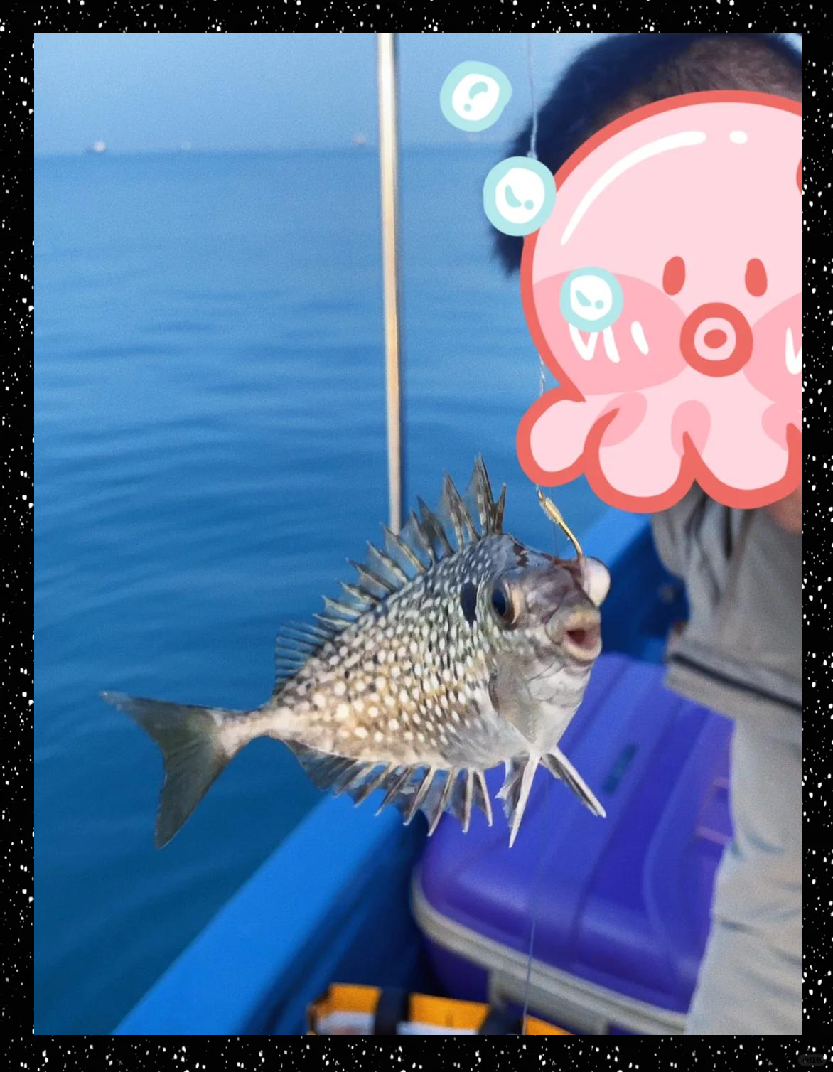 浅海钓鱼教学(浅海海钓技巧)