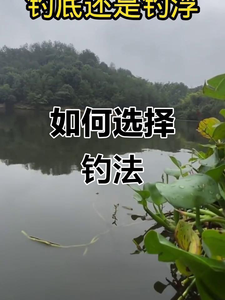 里下河钓鱼技巧(一张图看懂钓鱼技巧)