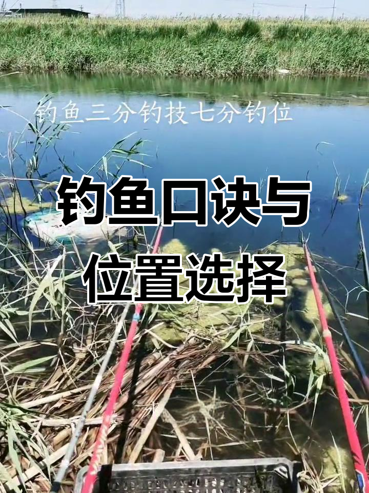 里下河钓鱼技巧(一张图看懂钓鱼技巧)