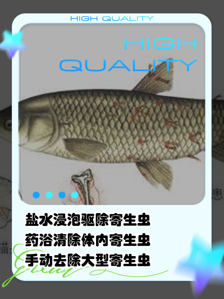 捞鱼虫的技巧(捞鱼虫用什么方法最快)
