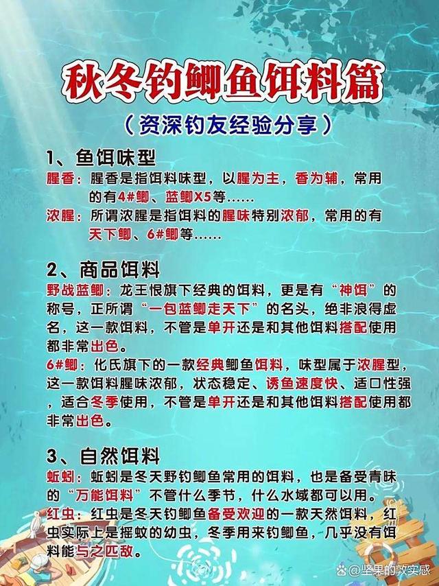 抛竿钓大头鱼饵料配方(抛竿钓大头鱼怎么调漂视频)
