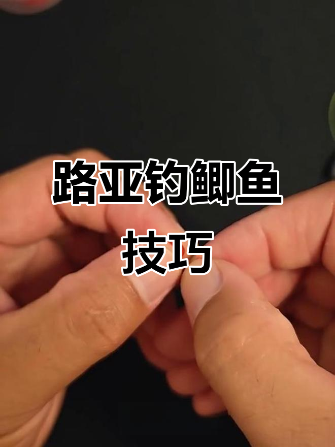 路亚杆钓鲤鱼(路亚竿钓鲤鱼的使用方法)