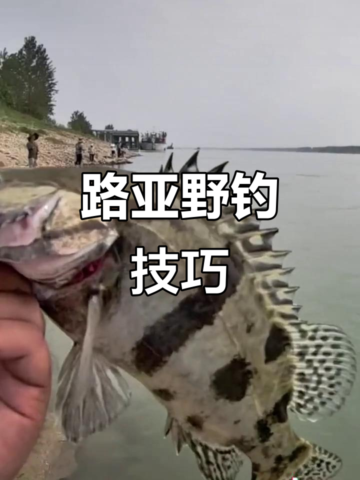 江河钓路亚(江河路亚选钓点)