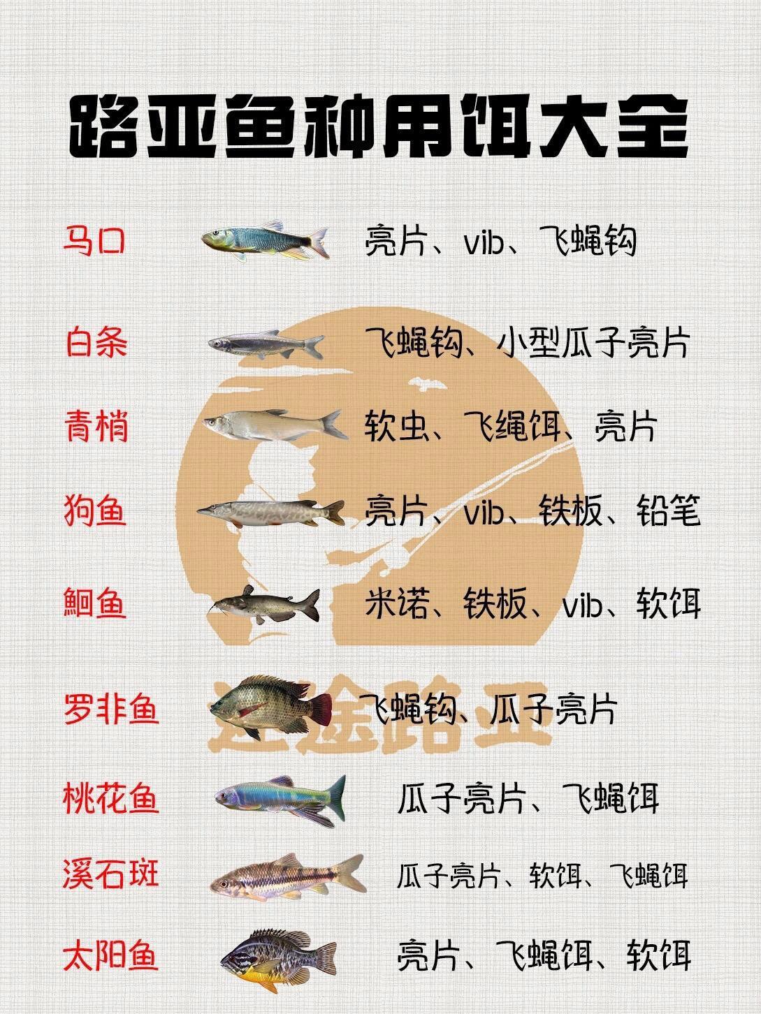 路亚鱼饵对应鱼种(路亚各种饵的说明)