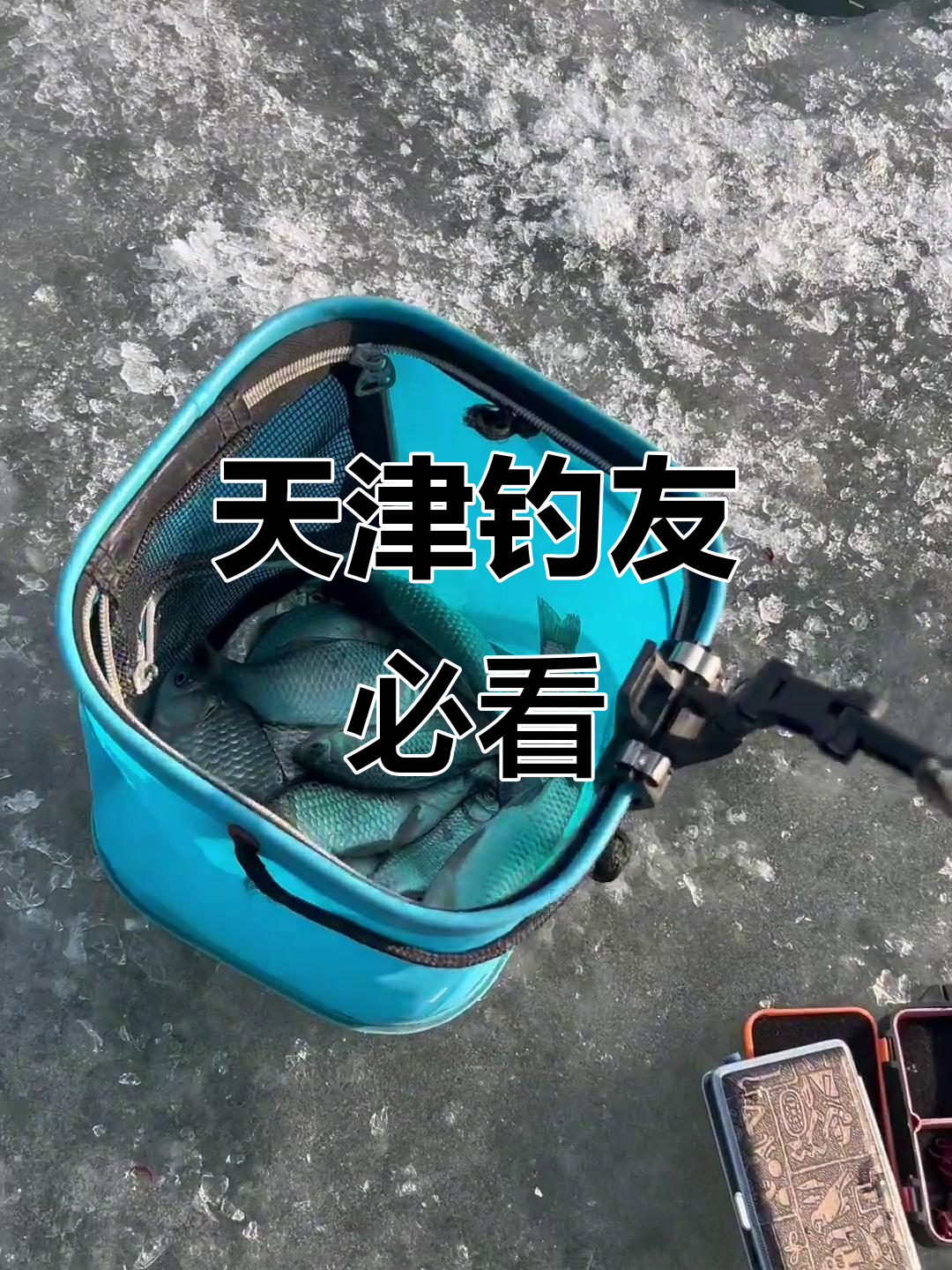 天津春季渔具在哪里(天津春季渔具在哪里买)
