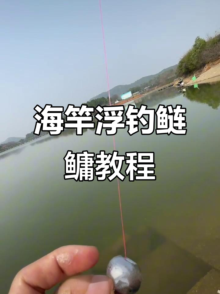 夏天海竿钓鲢鱼技巧(海竿钓鲢鳙鱼妙招)