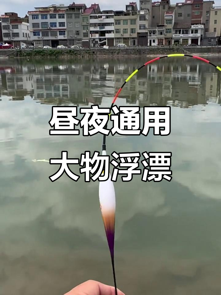 夜钓鳙鱼的技巧(夜钓鳙鱼的技巧视频)