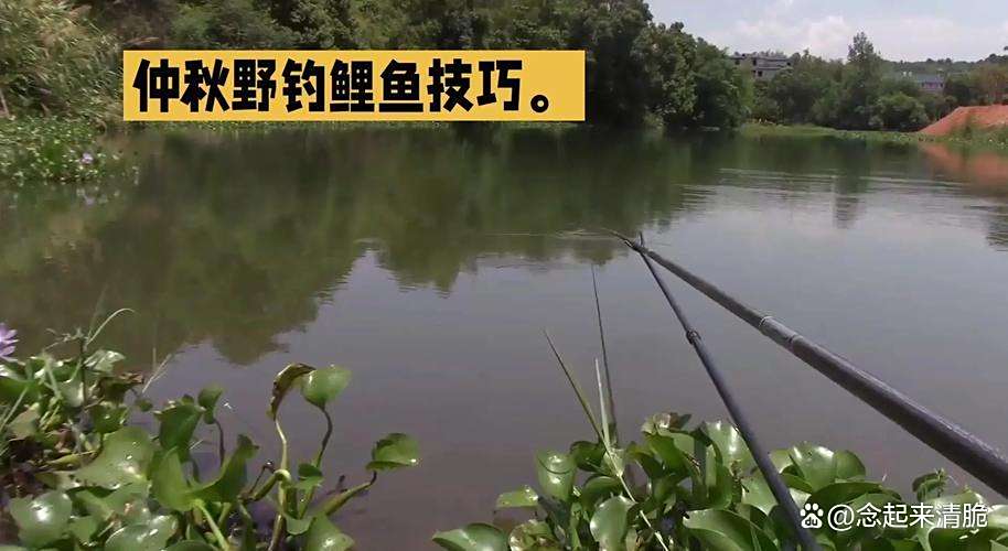 钓深水打饵技巧(钓深水打饵技巧图解)