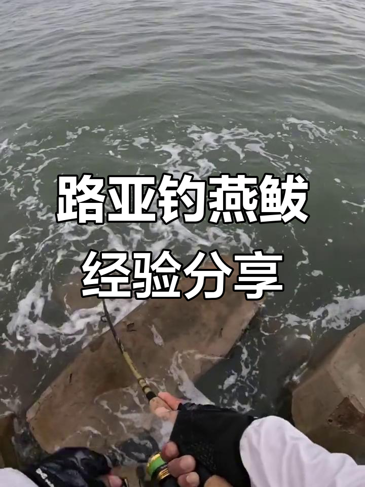 渤海钓鱼论坛(渤海钓鱼视频)