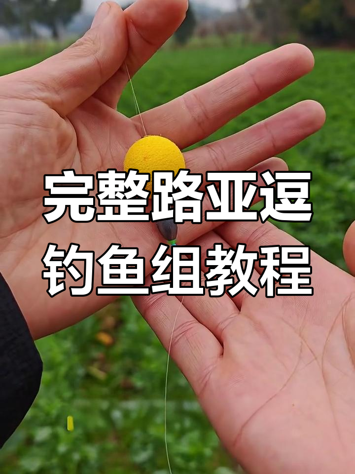 新手学钓路亚(新手学路亚钓鱼)