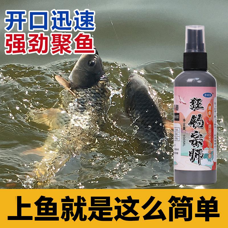 狂鲤饵料(狂鲤是什么鱼)