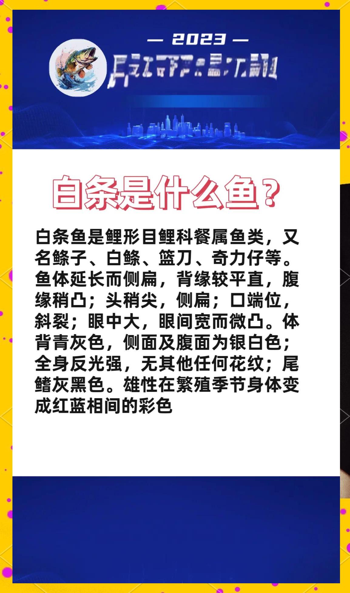 底钓白条技巧(钓白条鱼钓底还是钓浮)