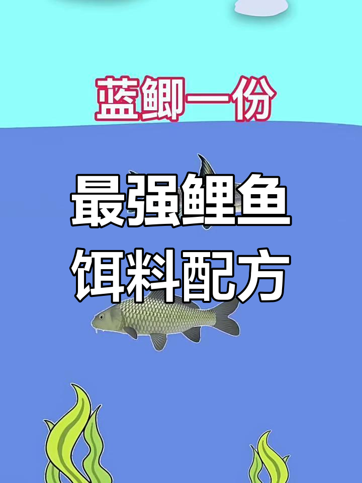 天元鲤鱼饵料怎样搭配(天元饵料钓鲤鱼都是用什么饵料)