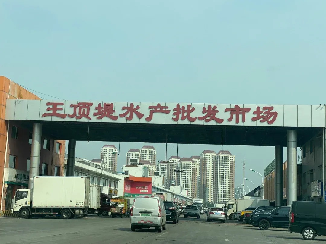 天津市批发渔具地点(天津批发渔具哪里便宜)