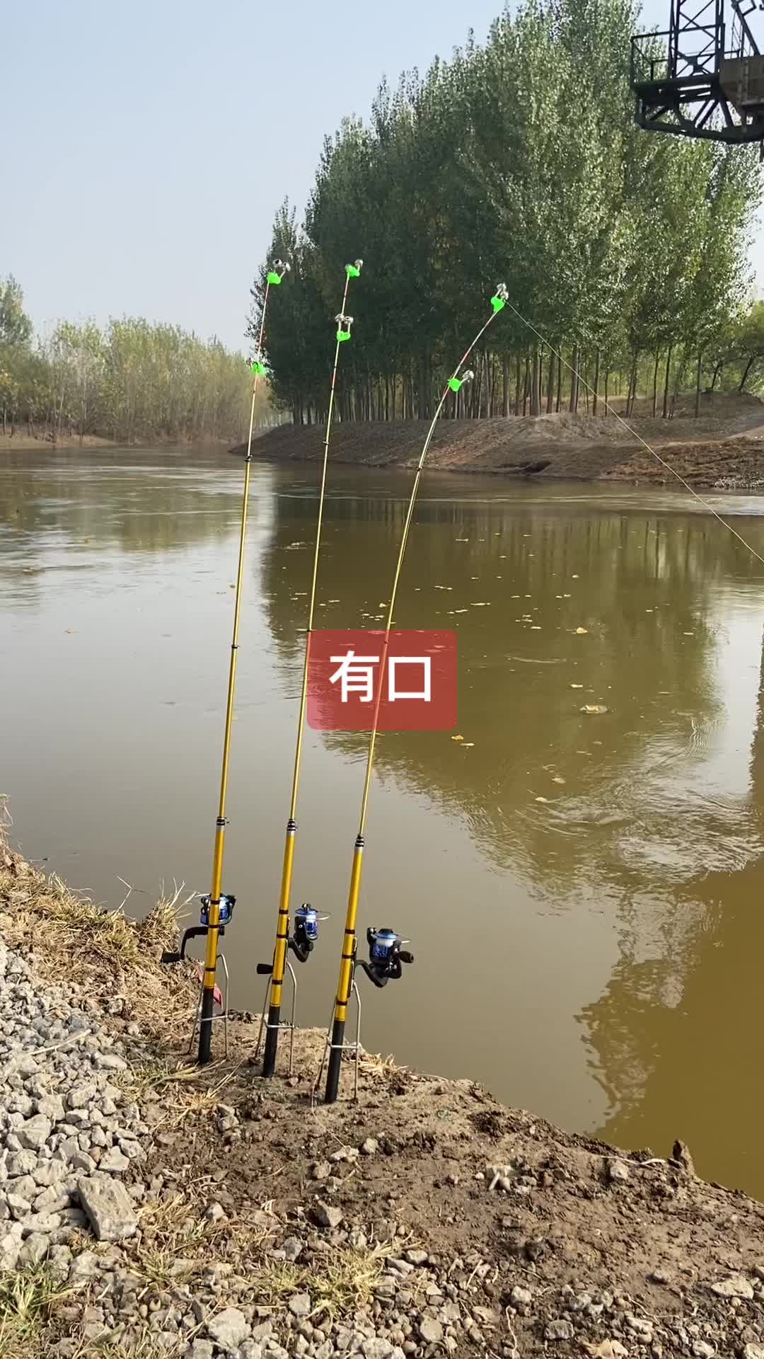 早春筏竿钓鱼技巧(早春筏竿钓鱼技巧视频)