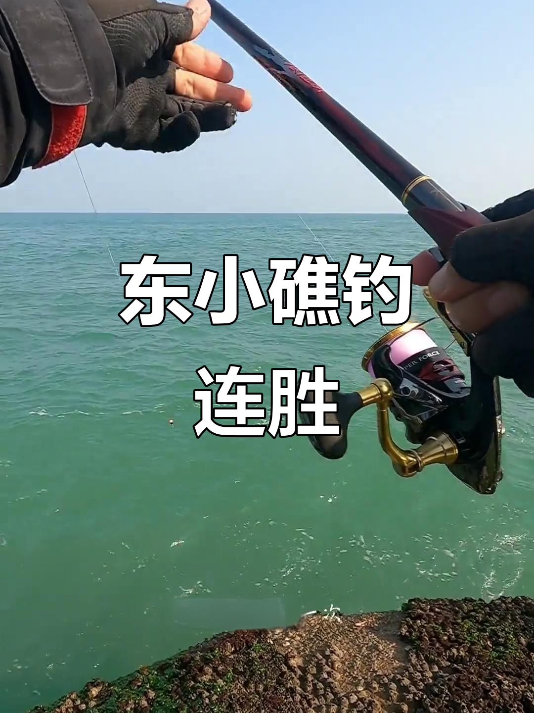 釣魚飞鱼有什么技巧(国家级绝密钓鱼配方)