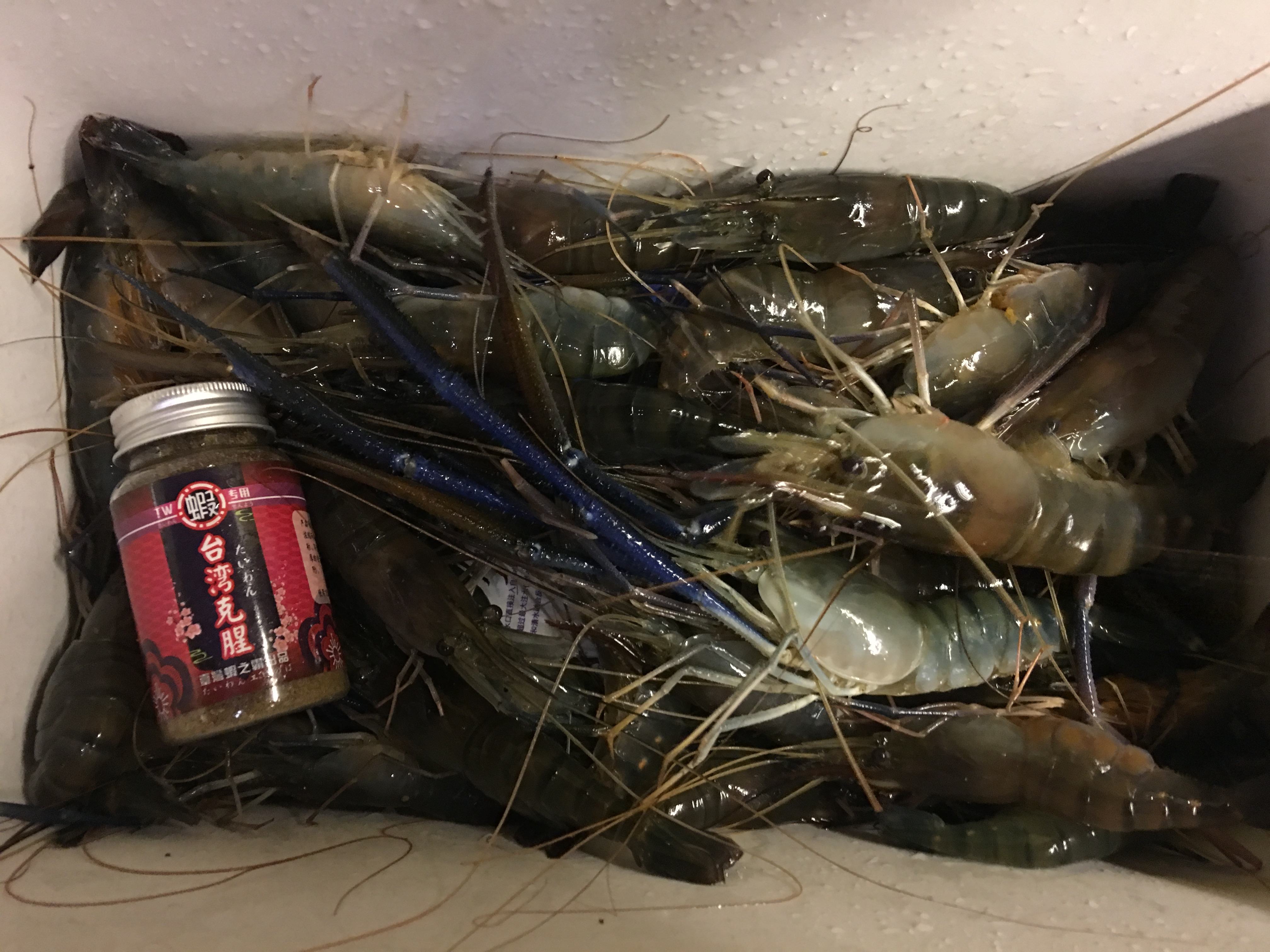 用虾海钓(用虾钓海鱼)