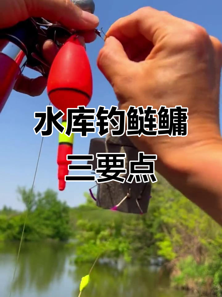 找夏季水库钓鱼技巧(夏季在水库怎样可以钓到鲫鱼)