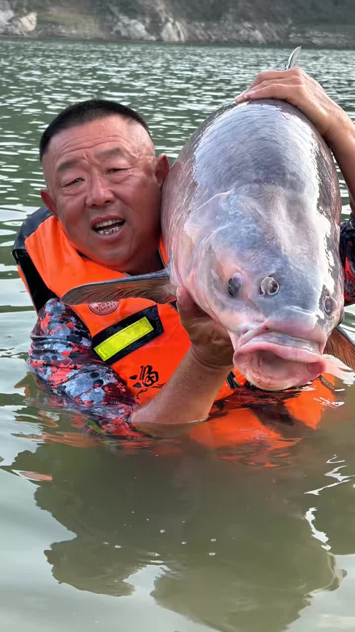 四海钓鱼最大鱼(四海钓鱼最大鱼是多大)