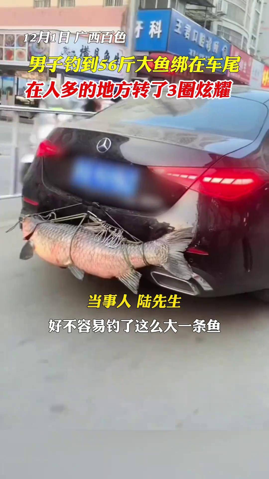 四海钓鱼最大鱼(四海钓鱼最大鱼是多大)