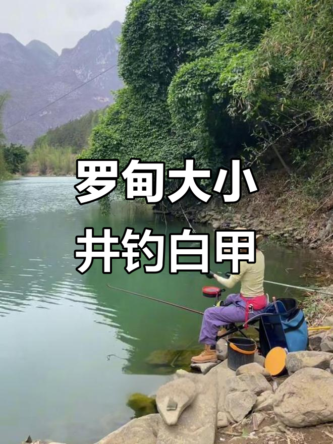 闷热天钓鱼技巧(我要看巴齿巨人的图片)