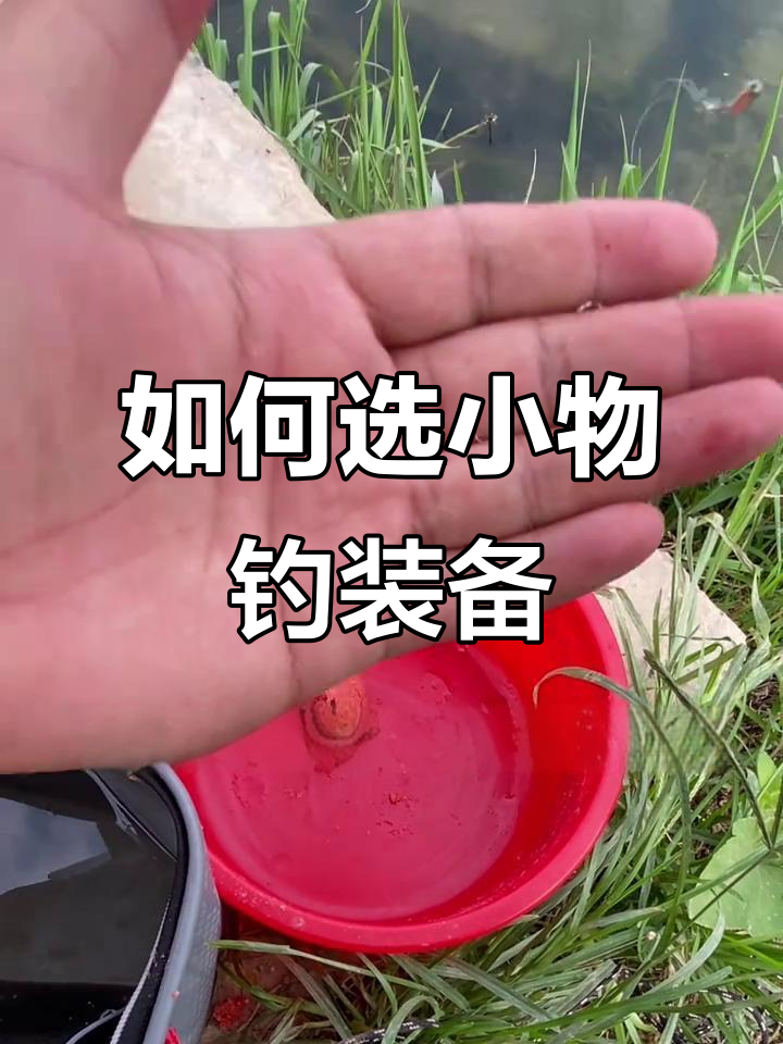 怎样使用渔具钓鱼(新手钓鱼渔具组装方法)