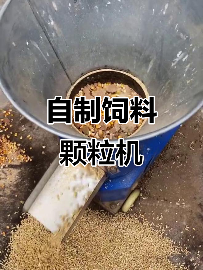 颗粒饲料制作技巧(颗粒饲料制作技巧和方法)