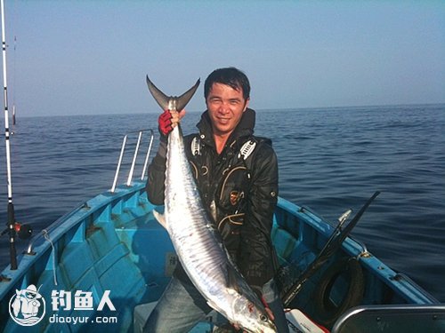 海钓马鲛(马鲛钓法)