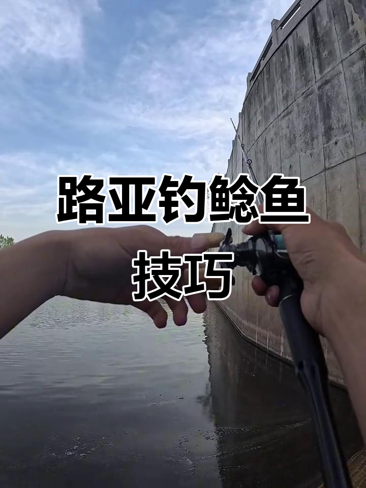 北方冬钓鲶鱼技巧(冬天怎样钓鲶鱼)