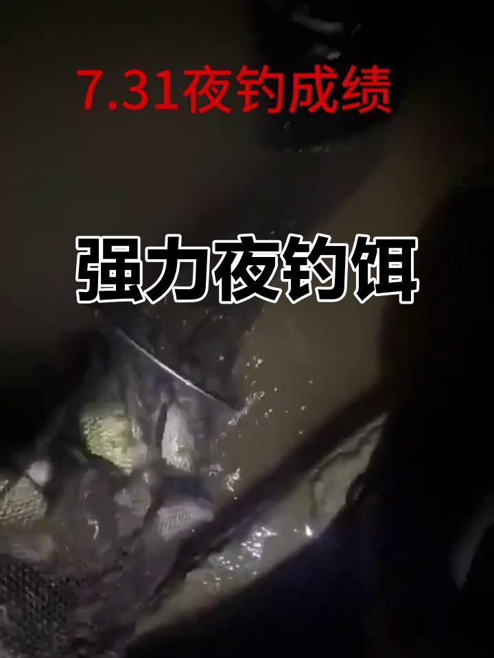 冬天夜钓用什么饵料好(冬天夜钓鱼技巧)