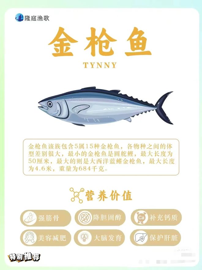 金枪鱼的饵料(金枪鱼的饵料是什么)